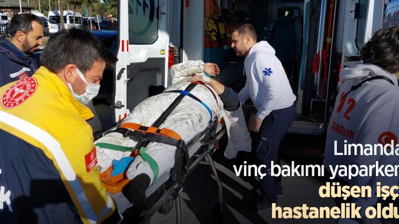 Limanda vinç bakımı yaparken düşen işçi hastanelik oldu