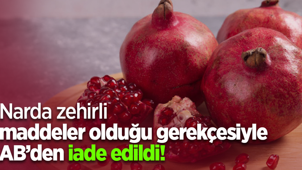 Narda zehirli maddeler olduğu gerekçesiyle AB’den iade edildi!