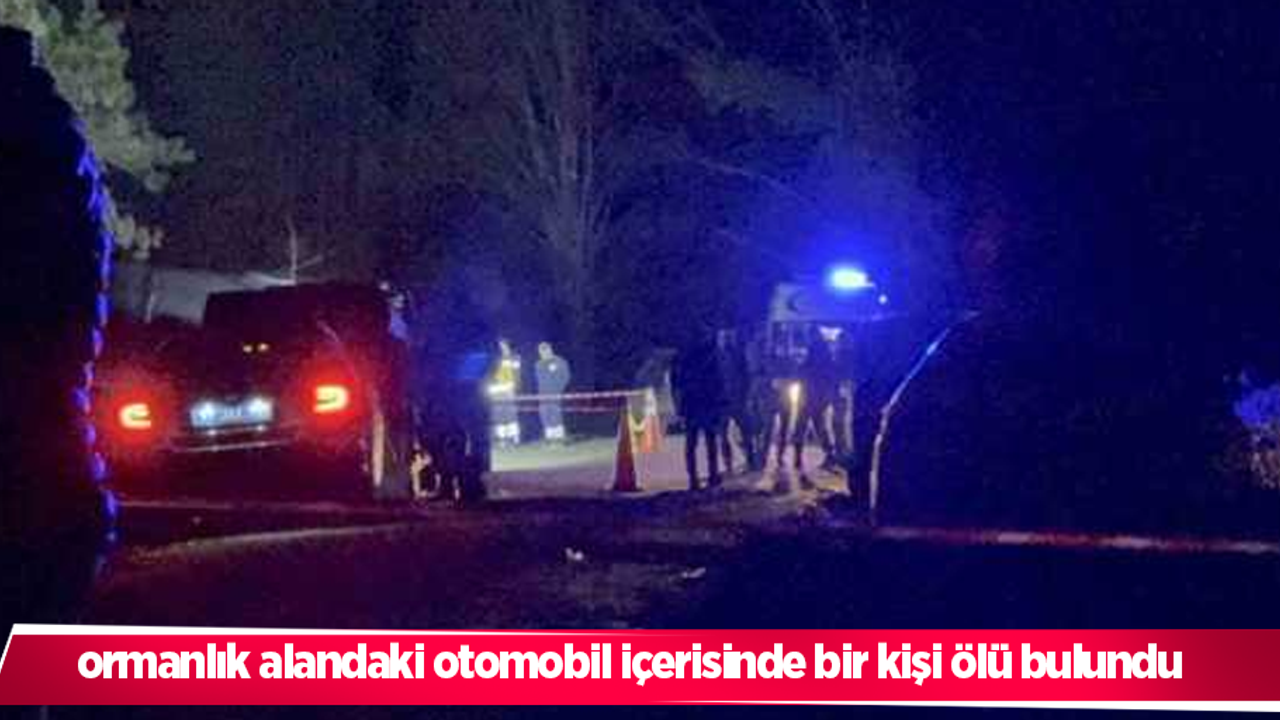 ormanlık alandaki otomobil içerisinde bir kişi ölü bulundu