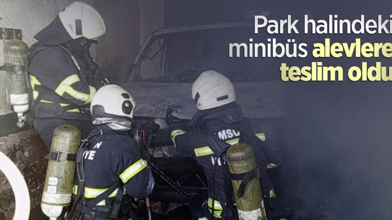 Park halindeki minibüs alevlere teslim oldu