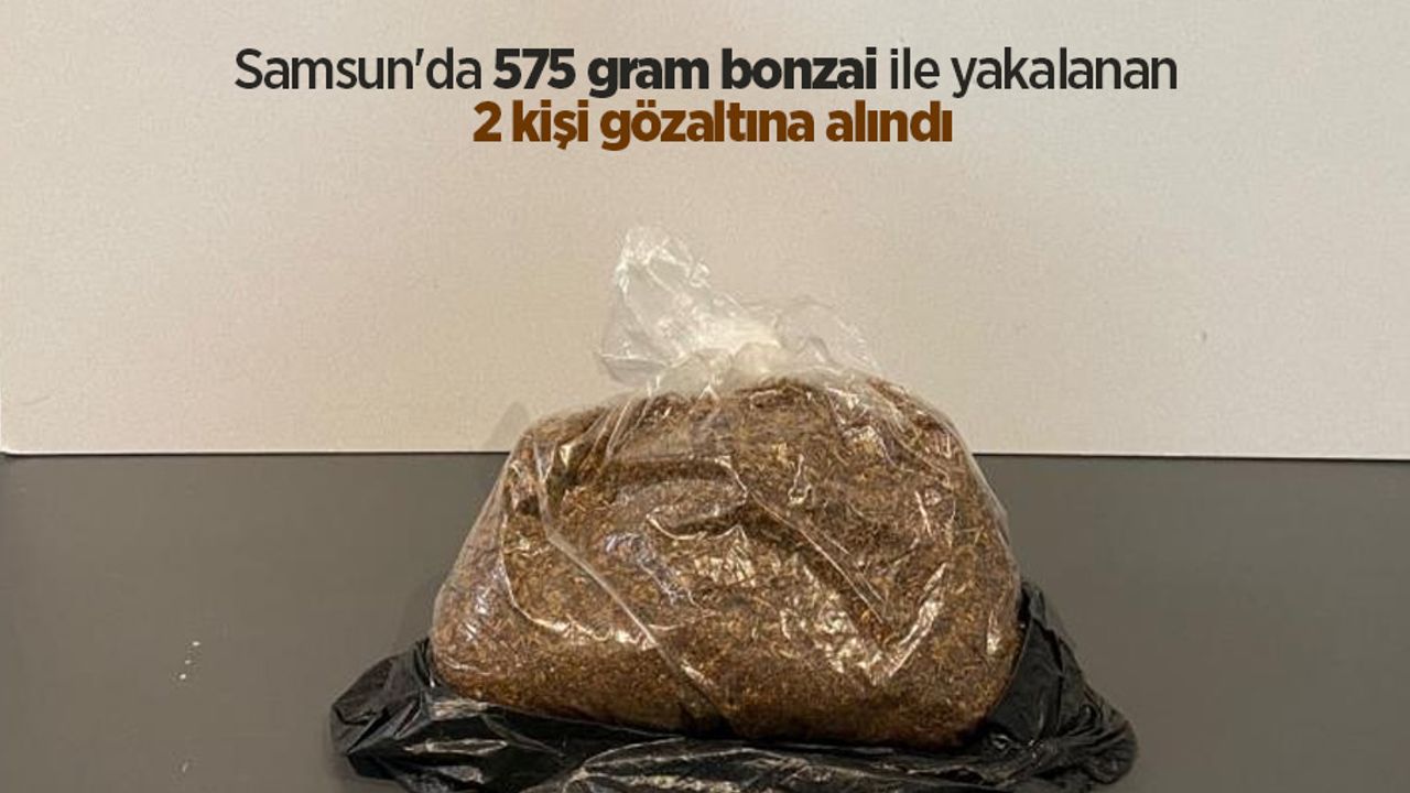 Samsun'da 575 gram bonzai ile yakalanan 2 kişi gözaltına alındı