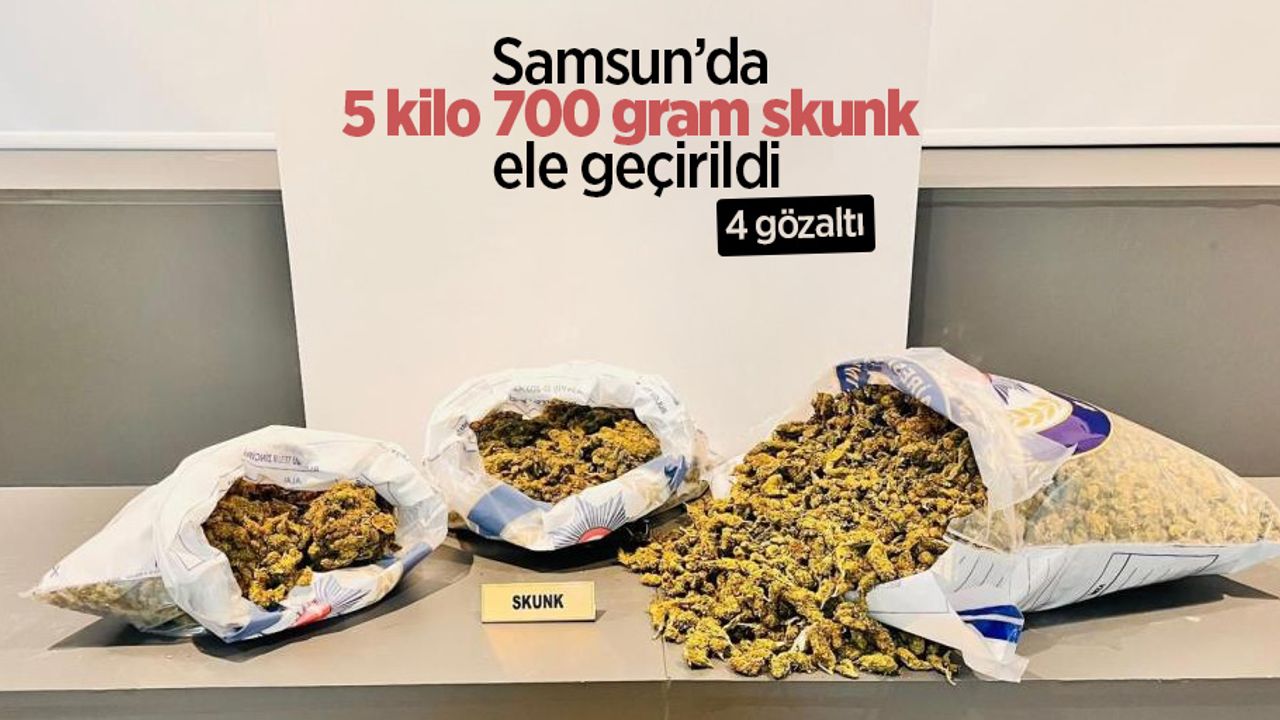 Samsun’da 5 kilo 700 gram skunk ele geçirildi: 4 gözaltı
