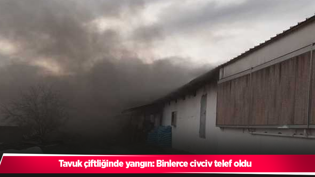 Tavuk çiftliğinde yangın: Binlerce civciv telef oldu