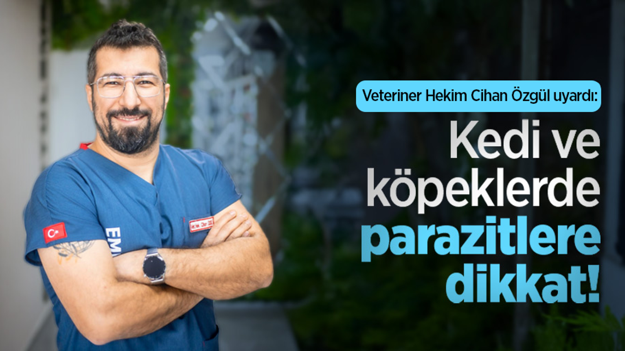 Veteriner Cihan Özgül uyardı: Kedi ve köpeklerde parazitlere dikkat!