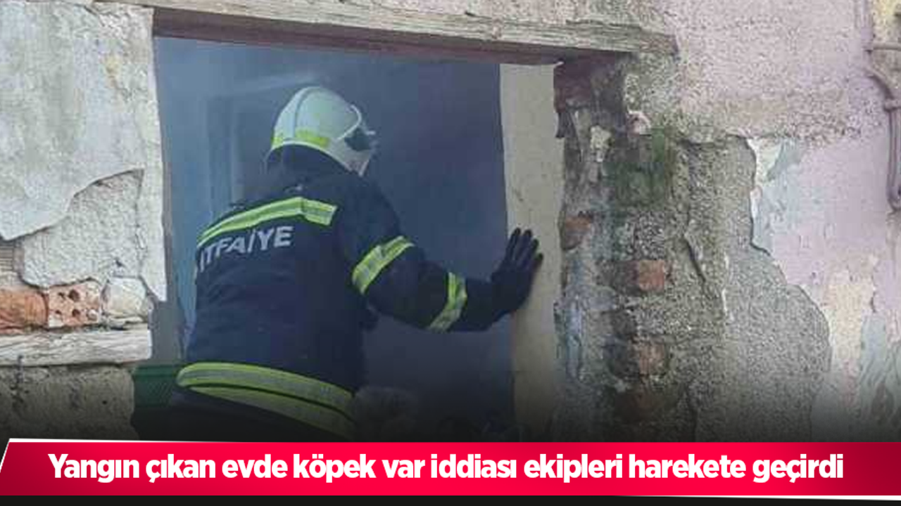 Yangın çıkan evde köpek var iddiası ekipleri harekete geçirdi