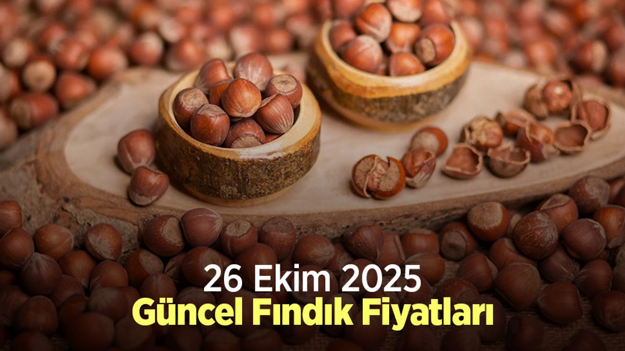 26 Ekim 2025 Güncel Fındık Fiyatları