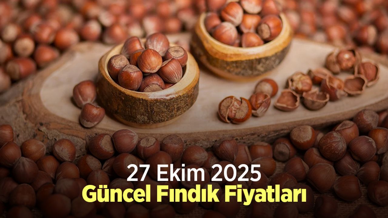 27 Ekim 2025 Güncel Fındık Fiyatları
