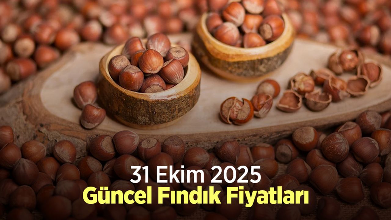 31 Ekim 2025 Güncel Fındık Fiyatları