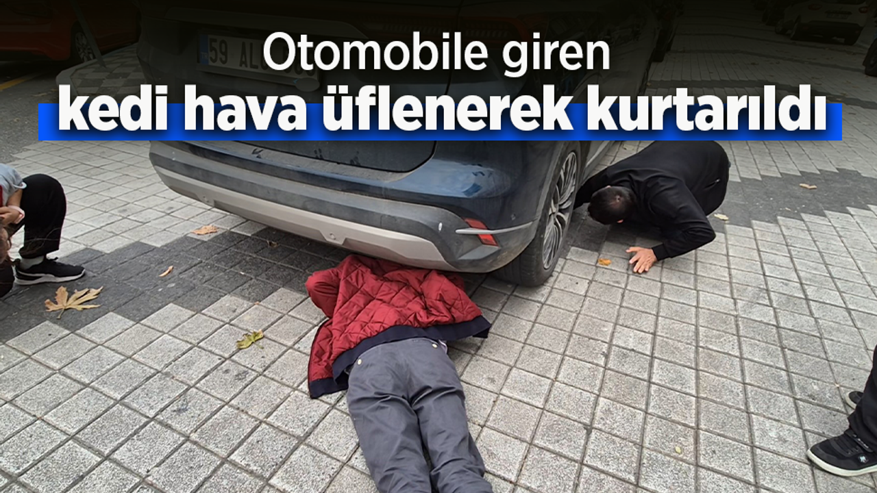 Otomobile giren kedi hava üflenerek kurtarıldı.