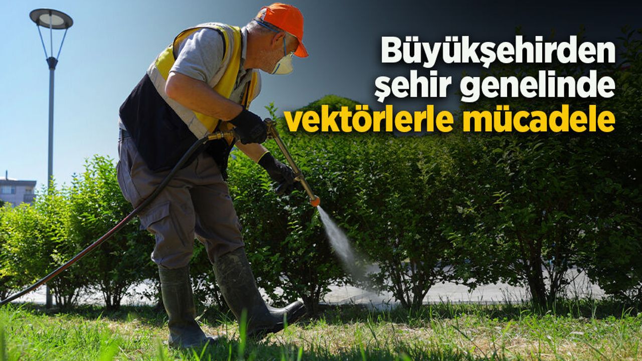 Büyükşehirden şehir genelinde vektörlerle mücadele