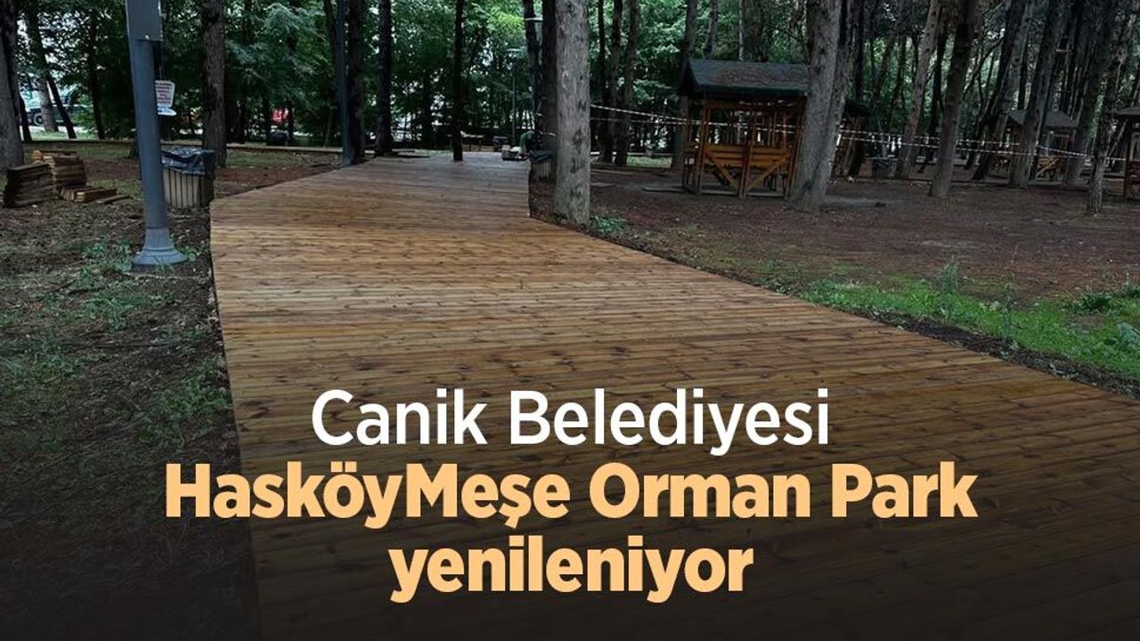 Canik Meşe Orman Park yenileniyor