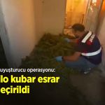 Bafra’da uyuşturucu operasyonu: 63 kilo kubar esrar ele geçirildi