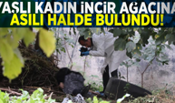 Yaşlı Kadın İncir Ağacına Asılı Halde Ölü Bulundu!