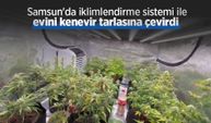 Samsun'da iklimlendirme sistemi ile evini kenevir tarlasına çevirdi