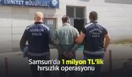 Samsun'da 1 milyon TL'lik hırsızlık operasyonu: 6 şüpheli gözaltında