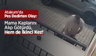 Atakum’da Pes Dedirten Olay: Mama Kaplarını Alıp Götürdü, Hem de İkinci Kez!
