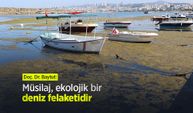 Doç. Dr. Baytut: Müsilaj, ekolojik bir deniz felaketidir