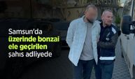 Samsun'da üzerinde bonzai ele geçirilen şahıs adliyede