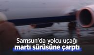 Samsun'da yolcu uçağı martı sürüsüne çarptı