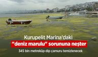 Kurupelit Marina'daki "deniz marulu" sorununa neşter: 345 bin metreküp dip çamuru temizlenecek