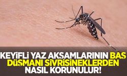 Keyifli yaz akşamlarının baş düşmanı sivrisineklerden nasıl korunulur!