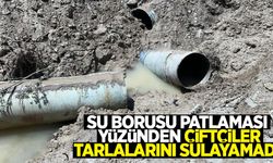 Su borusu patlaması yüzünden çiftçiler tarlalarını sulayamadı!