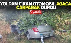 Yoldan çıkan otomobil ağaca çarparak durdu: 3 yaralı
