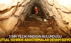 3 bin yıllık fındığın bulunduğu kutsal şehirde araştırmalar devam ediyor
