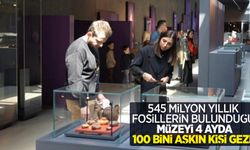 545 milyon yıllık fosillerin bulunduğu müzeyi 4 ayda 100 bini aşkın kişi gezdi