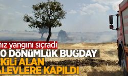 Anız yangını sıçradı 20 dönümlük buğday ekili alan alevlere kapıldı