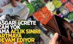 Asgari ücrete zam yok ama açlık sınırı artmaya devam ediyor!