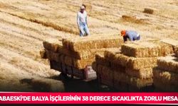 Babaeski’de balya işçilerinin 38 derece sıcaklıkta zorlu mesaisi