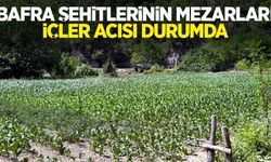 Bafra şehitlerinin mezarları içler acısı durumda