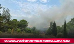 Çanakkale’deki orman yangını kontrol altına alındı