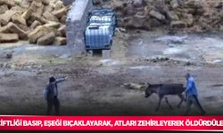 Çiftliği basıp, eşeği bıçaklayarak, atları zehirleyerek öldürdüler