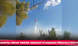 Çorum’da orman yangını: Havadan ve karadan müdahale ediliyor