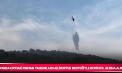 Diyarbakır’daki orman yangınları helikopter desteğiyle kontrol altına alındı
