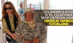 Dolandırıcılıktan 10 yıl cezaevinde yatıp çıktıktan sonra hırsızlık yapınca tutuklandı