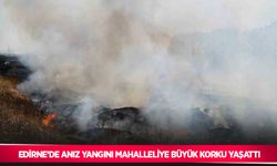 Edirne’de anız yangını mahalleliye büyük korku yaşattı