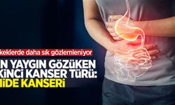 En yaygın gözüken ikinci kanser türü mide kanseri: Erkeklerde daha sık gözlemleniyor
