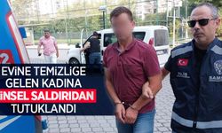 Evine temizliğe gelen kadına cinsel saldırıdan tutuklandı
