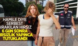 Hamile diye serbest bırakılan hırsız, 6 gün sonra hırsızlık yapınca tutuklandı