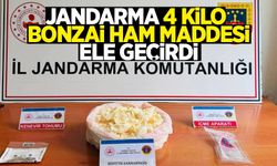Jandarma 4 kilo bonzai ham maddesi ele geçirdi
