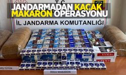 Jandarmadan kaçak makaron operasyonu