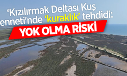 ‘Kızılırmak Deltası Kuş Cenneti'nde ‘kuraklık' tehdidi: Yok olma riski