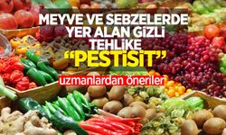 Meyve ve sebzelerde yer alan gizli tehlike "pestisit": Uzmanlardan öneriler