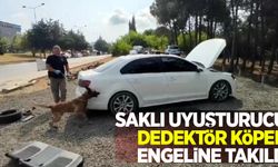 Saklı uyuşturucu dedektör köpek engeline takıldı