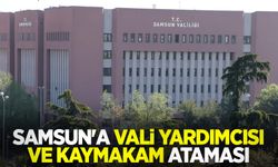 Samsun'a vali yardımcısı ve kaymakam ataması