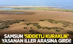 Samsun 'şiddetli kuraklık' yaşanan iller arasına girdi!