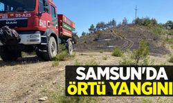 Samsun’da örtü yangını